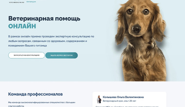 Сайт ветеринарной помощи онлайн