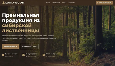 Сайт компании Larixwood